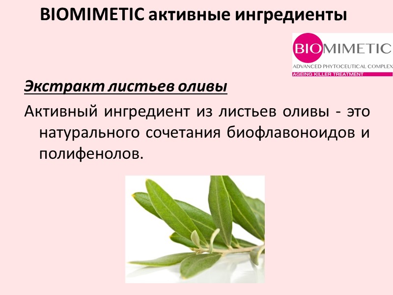 Экстракт листьев оливы Активный ингредиент из листьев оливы - это натурального сочетания биофлавоноидов и